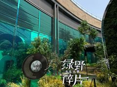 -石家庄万象城