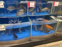 -AEON永旺(东方宝泰店)