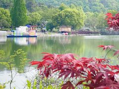 -龙寺生态园