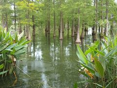 -白鹭湾湿地公园