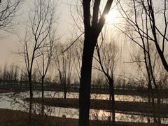 -东郊湿地公园