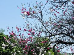 -国家植物园南园