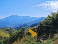 -紫鹊界梯田景区