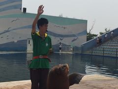 -北戴河圣蓝海洋公园