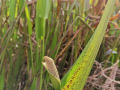 -渭南桃花源民俗文化园
