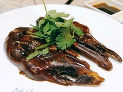 -肉神潮汕卤鹅