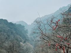 -泰山风景名胜区