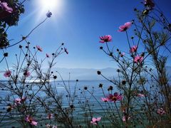 -大理洱海