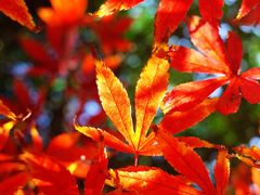 景点-西安汉城湖景区