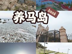 -养马岛旅游度假区