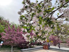 -元大都城垣遗址公园