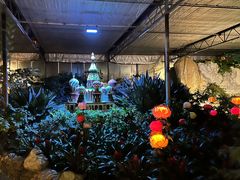 -南宫五洲植物乐园