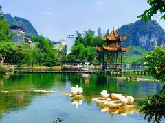 -靖西鹅泉风景区