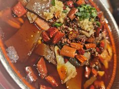 -新侨小馆(东直门北小街店)