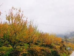 -太子岭滑雪场
