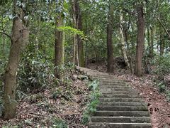 -九曜山