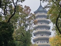 -灵谷景区