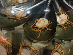 -船梆煮•蒸汽海鲜·生腌干蒸(五四广场店)