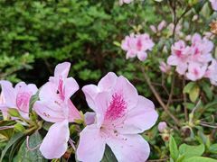 -白云山索道-售票处