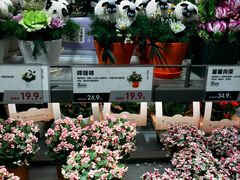 -鹿岛生活(熙地港店)