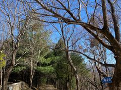-玉湖村