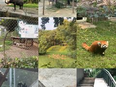 -合肥野生动物园