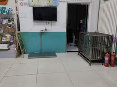-利又安动物医院··老年病·猫科犬科·中兽医