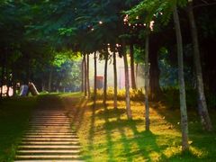 神光-东莞植物园