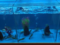 -怡咖啡·自助餐·西安香格里拉