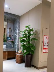 -厦门美莱整形美容医院