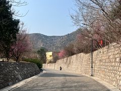 -北京鹫峰国家森林公园