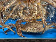 -徐记海鲜(大明宫|北二环店)