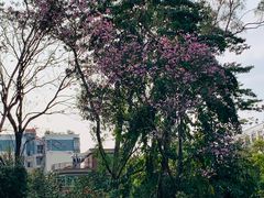 -华南国家植物园-售票处