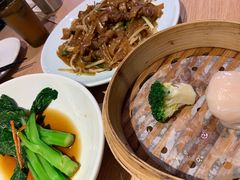 -南枝记