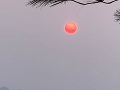 -缙云山景区