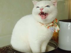 -面包与我Bread Or Me(长城汇店)