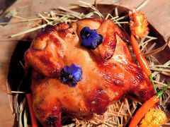 -Hi City·城市之巅