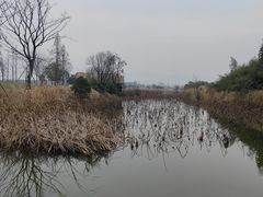 -良渚古城遗址公园