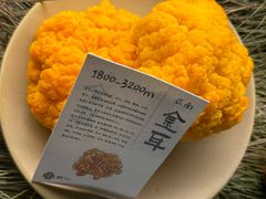 -滇野云南野生菌餐厅(陕西南路店)