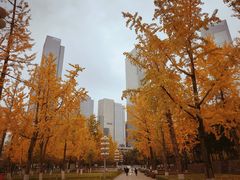 -重庆市江北嘴中央商务区中央公园