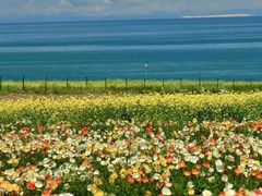 -青海湖国家重点风景名胜区