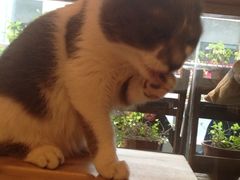 iphone_upload_pic-MIKAKU(万达广场上海宝山店)