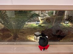 -和平行旅·全女旅宿(永庆坊店)