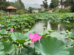 -静之湖度假区