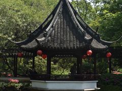 -上海醉白池公园