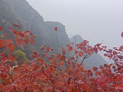 -狼牙山风景区