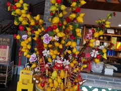 -顺德了能馆(虎门店)