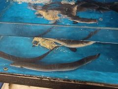 -华盛丰温州大排档(东三环南路店)