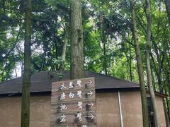 -象山森林公园