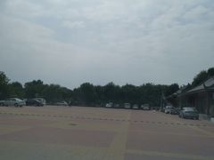 -大港湿地公园